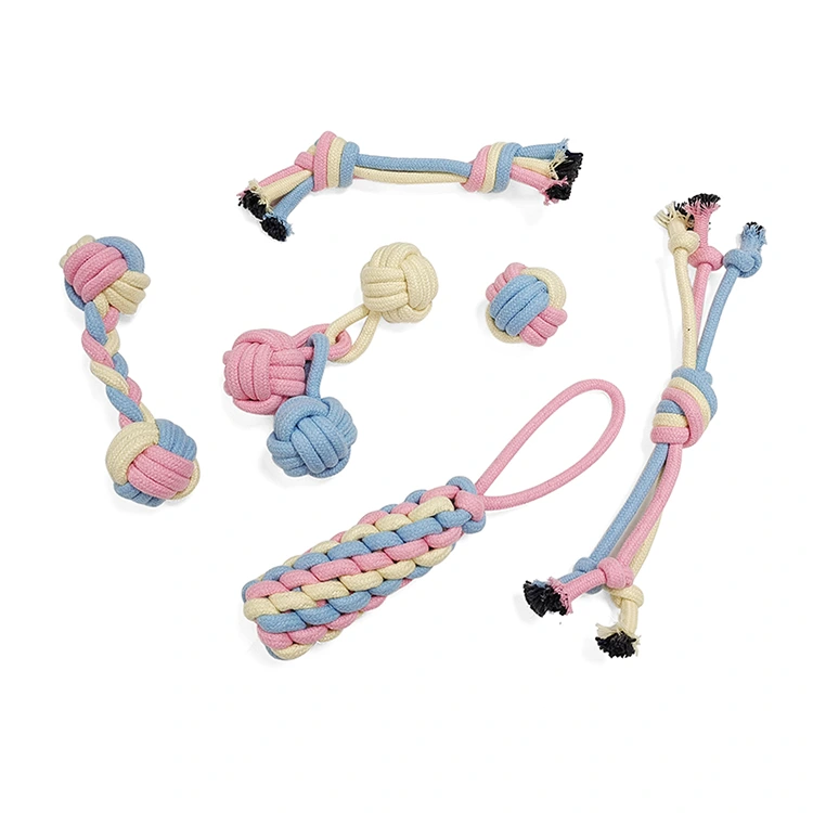 Puppyspeelgoed ingesteld voor kinderziektes Small Dogs 6 Pack
